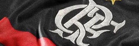 Mauro Ferreira's banner