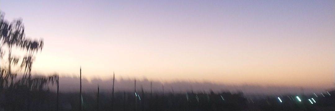 davii_ribeiiro's profile banner image