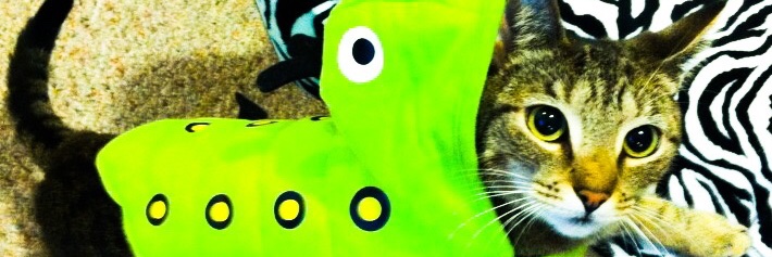 keva1022's profile banner image