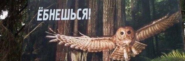 превозмогаечка banner