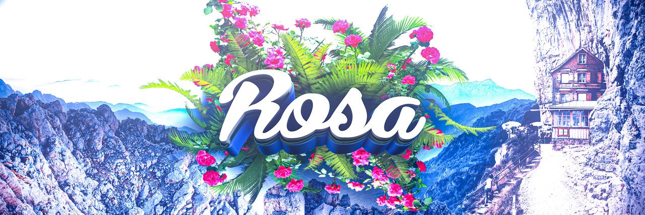 Rosa🌸 banner