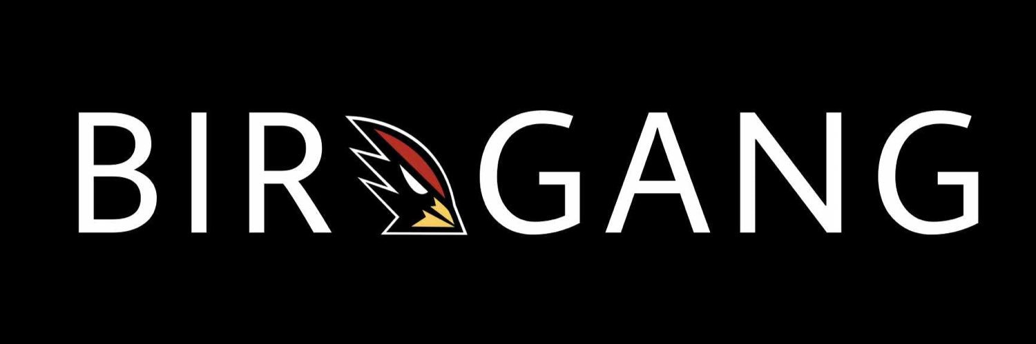 Birdgang's profile banner image
