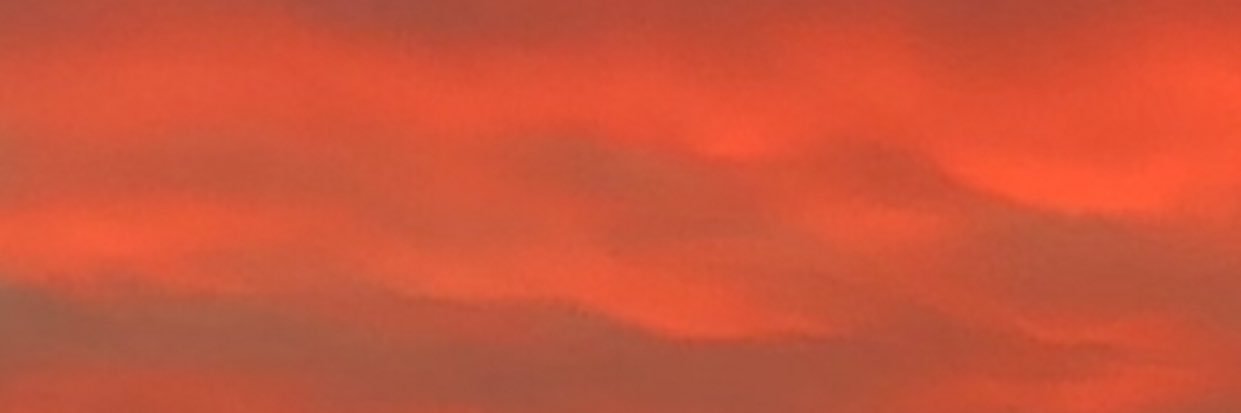 SeedsofJake's profile banner image