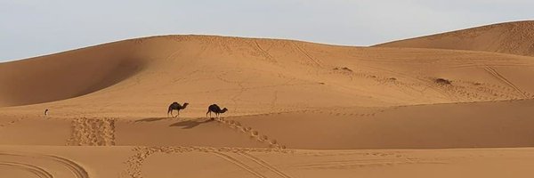 JavierPalazon Profile Banner