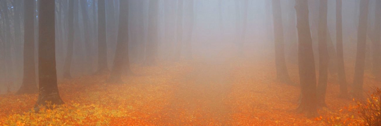 باسم بن عبدالعزيز الصالح banner