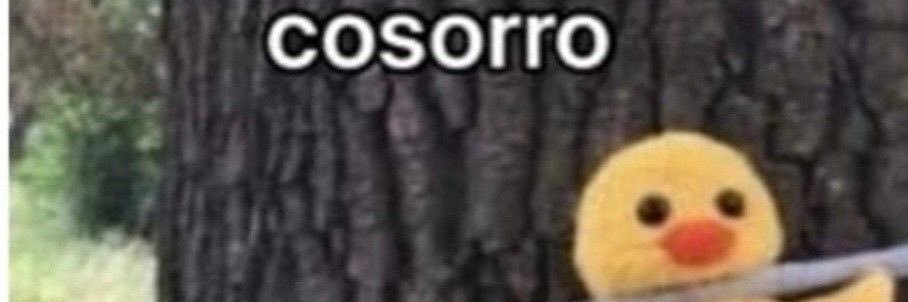 Isxcxf's profile banner image