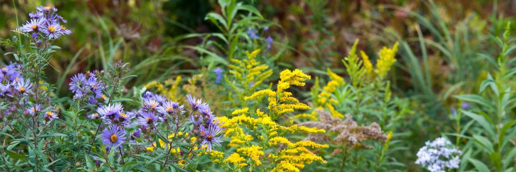W. Toronto Railpath banner