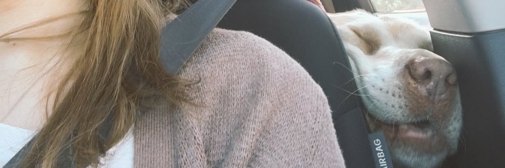 not_sl0th's profile banner image