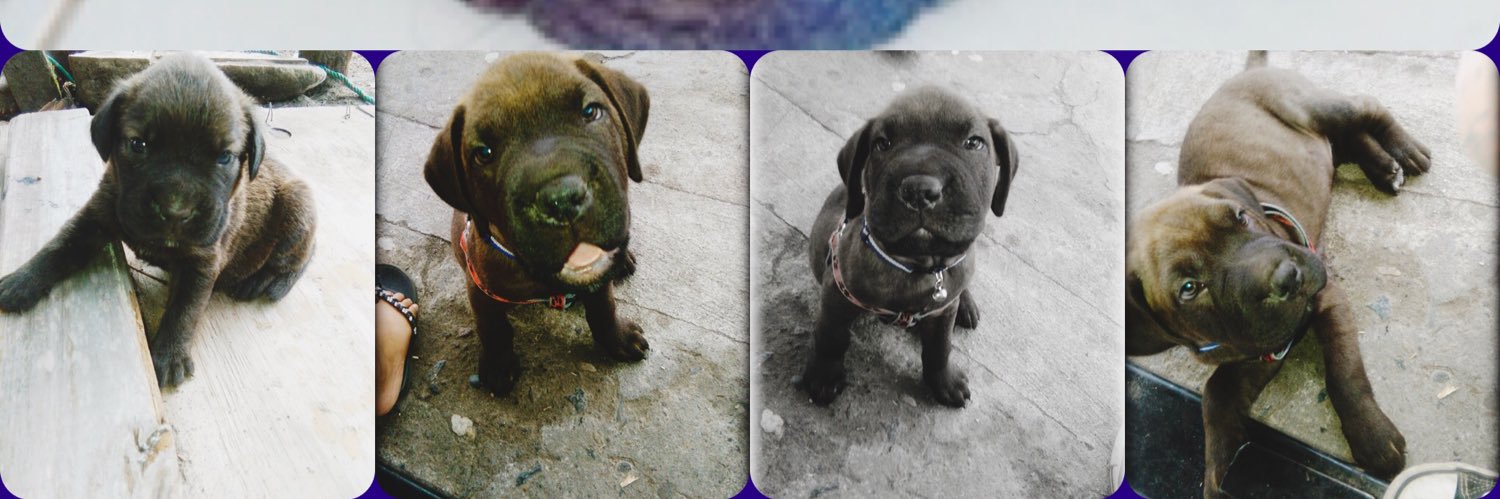 Josue Solano Duran banner