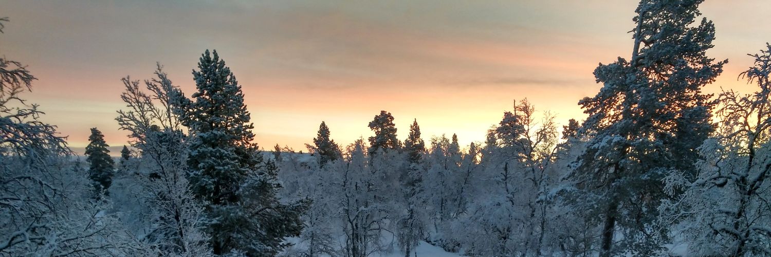 MH_Sipponen's profile banner image
