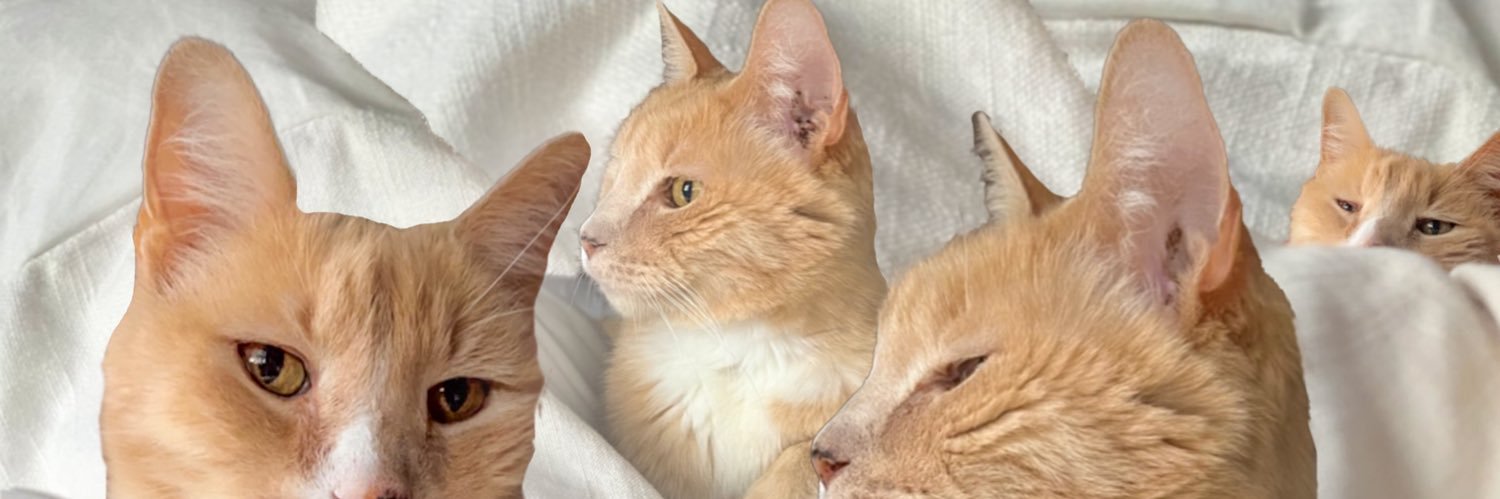 lovesbian's profile banner image