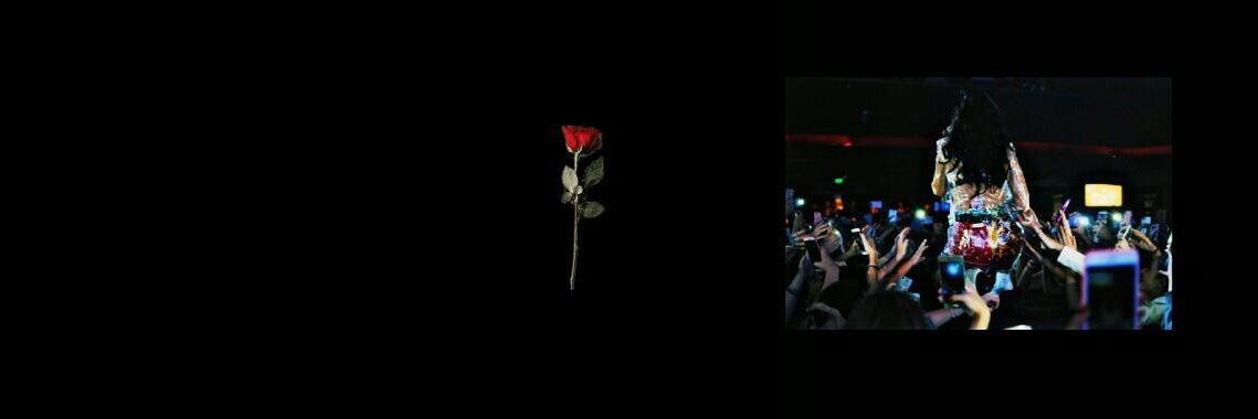 OriSabmivida's profile banner image