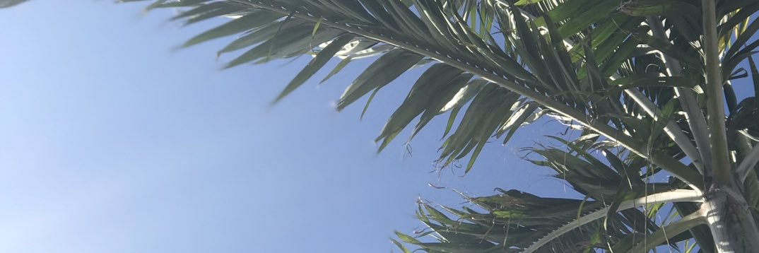 alexanderrowse's profile banner image