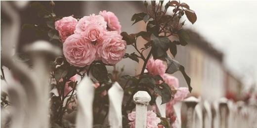 ikaa_nasir's profile banner image