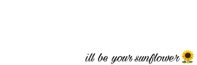 sara_cmb's profile banner image