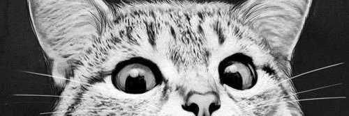 karleoeo's profile banner image