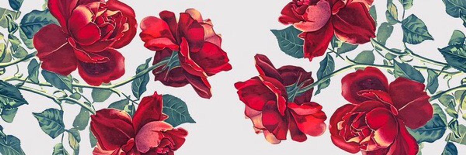 ClearStacy's profile banner image