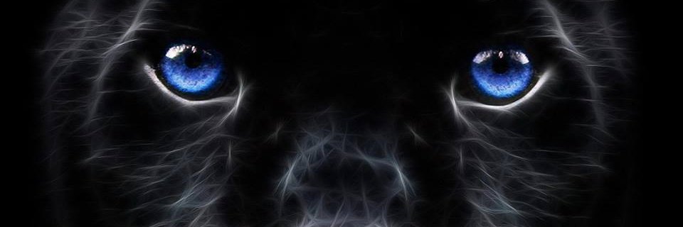 Evans Middle School banner