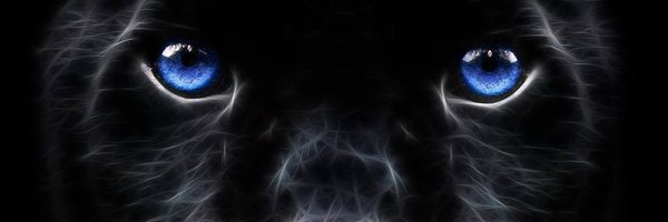 EvansPanthers Profile Banner