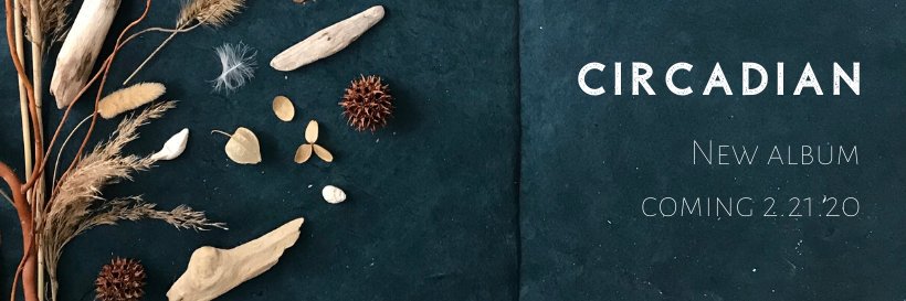 Letitia VanSant banner