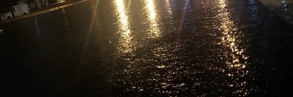 wilberthvm1's profile banner image