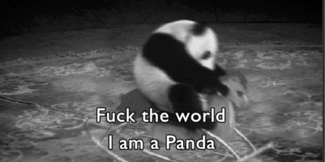 PandiPanda33's profile banner image