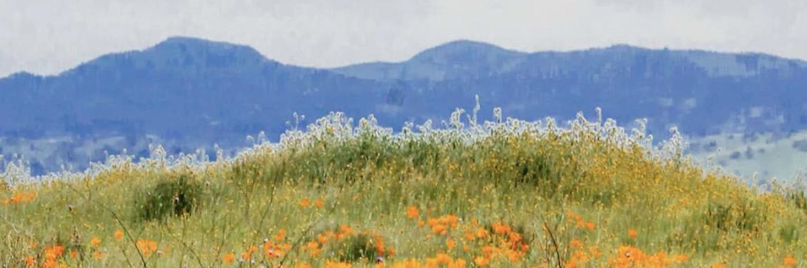sleepiestbella's profile banner image