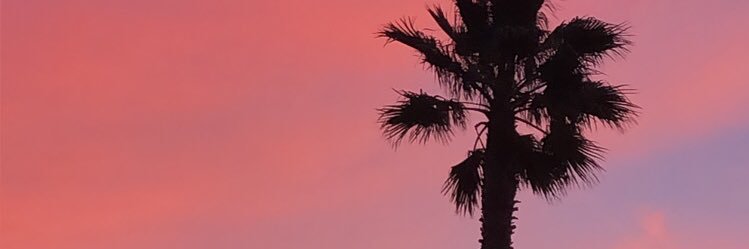 maddywhit4's profile banner image