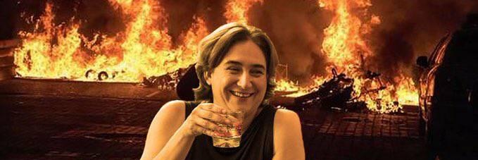 Hank Dimaggio banner