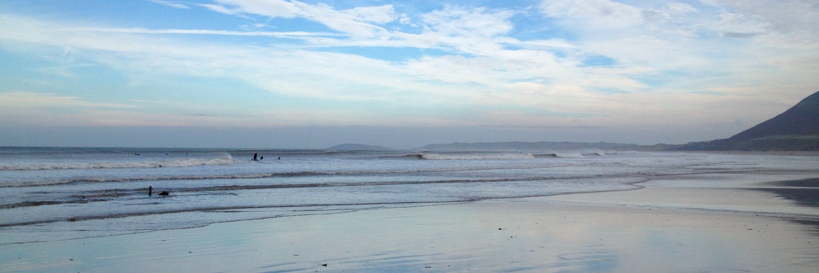 Tess Fitzpatrick banner