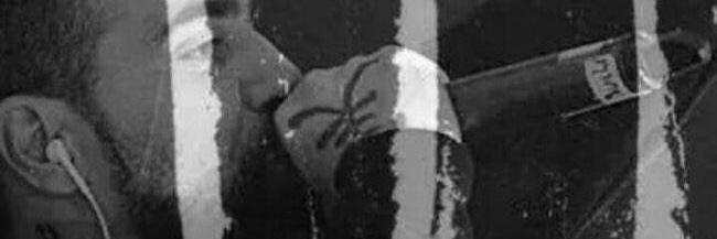 Steffen banner