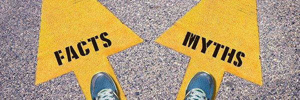 David N. Rapp banner