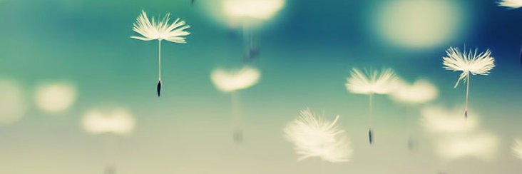 weinay's profile banner image