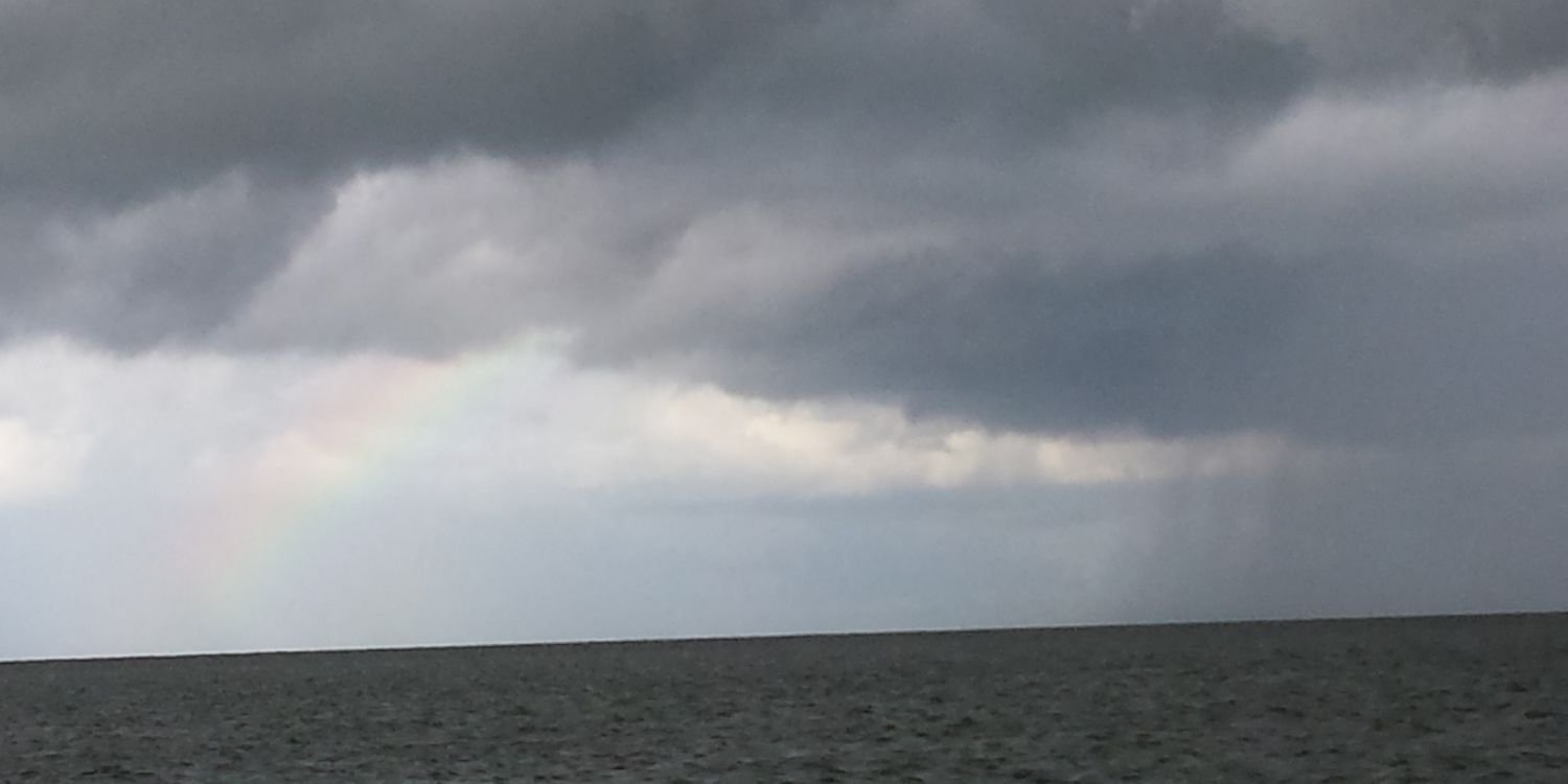 WarriorLeo's profile banner image