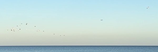 meldoof Profile Banner