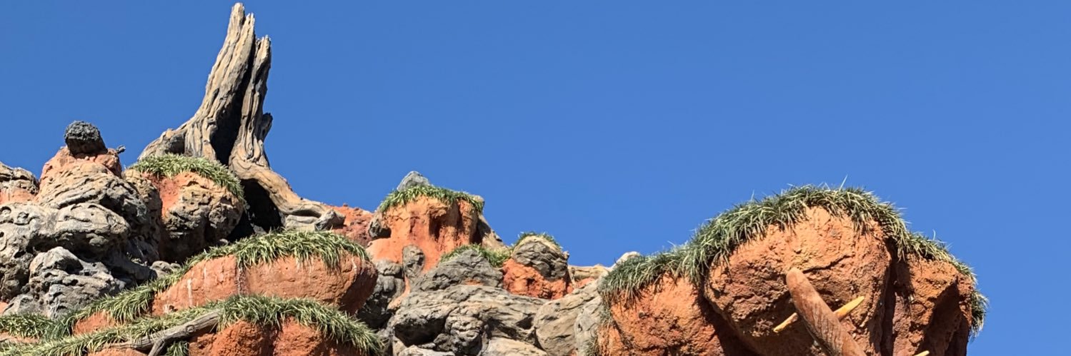 Beedageeda's profile banner image