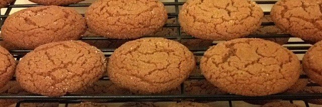 Felicity Disco banner