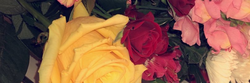 Renee_neeneee's profile banner image