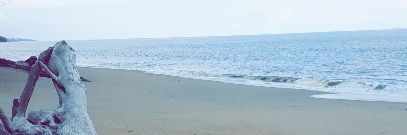 Definisseur's profile banner image