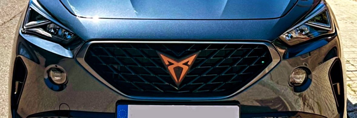 susin_sergio's profile banner image