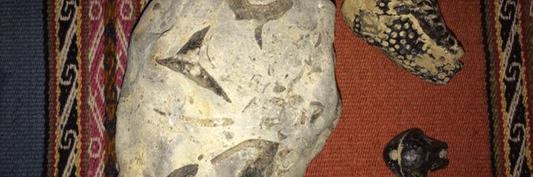 dgplcs Profile Banner