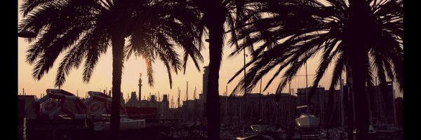 nemi15689 Profile Banner