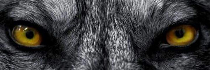 MLG_DeBoss20's profile banner image