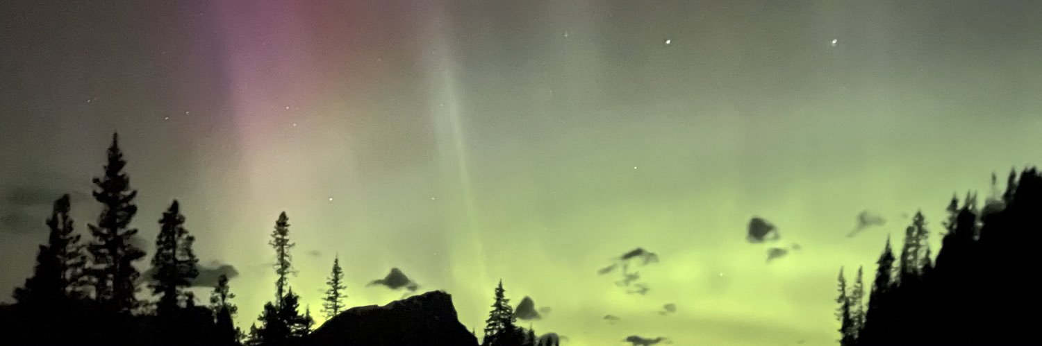 Tayla 🏴󠁧󠁢󠁳󠁣󠁴󠁿🇳🇿 banner