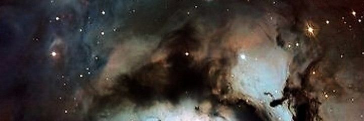 freerevachol's profile banner image