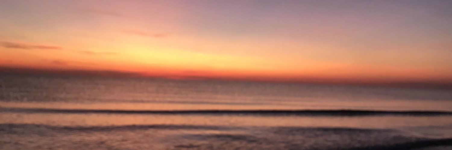 elisa_dalla's profile banner image
