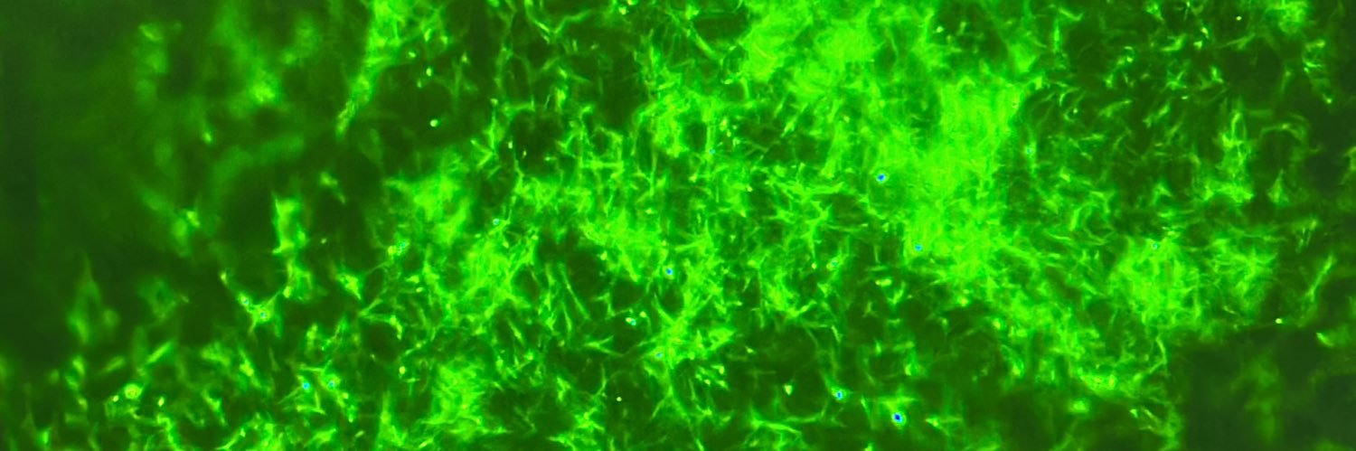neural_chemist's profile banner image
