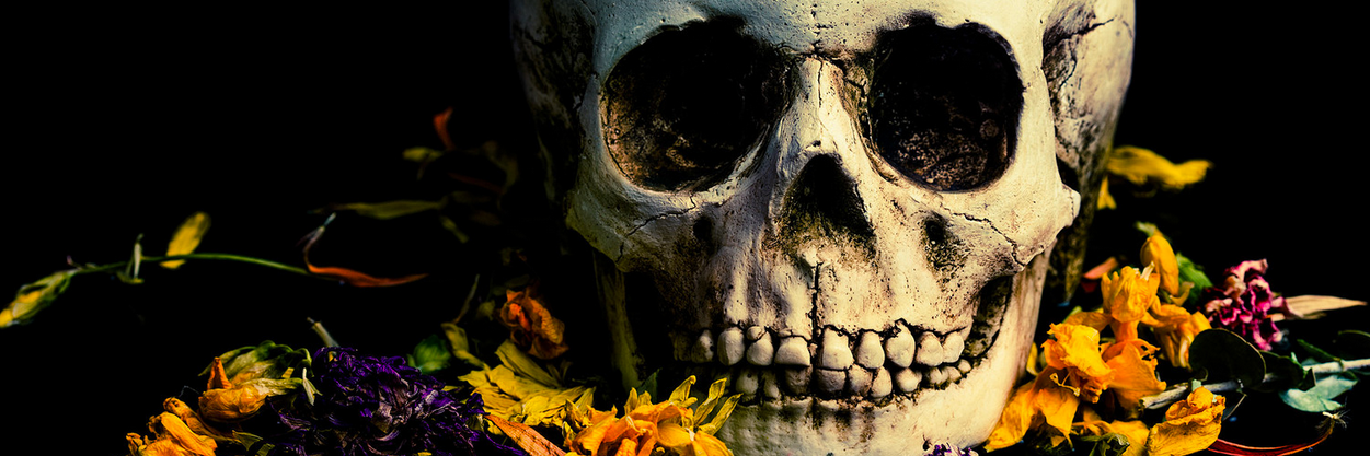 v1gn2r's profile banner image