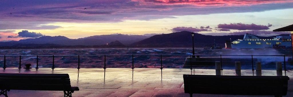 alvaro ruiz ruiz banner