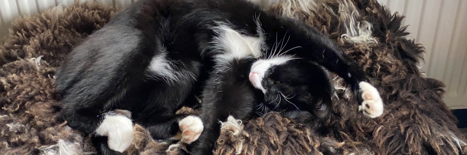 PuurMarylin's profile banner image